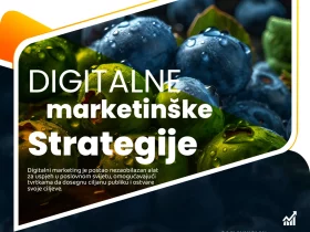 Digitalne marketinške strategije poslovni plan