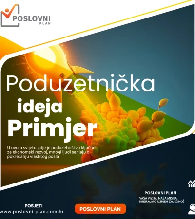 Poduzetnička ideja primjer